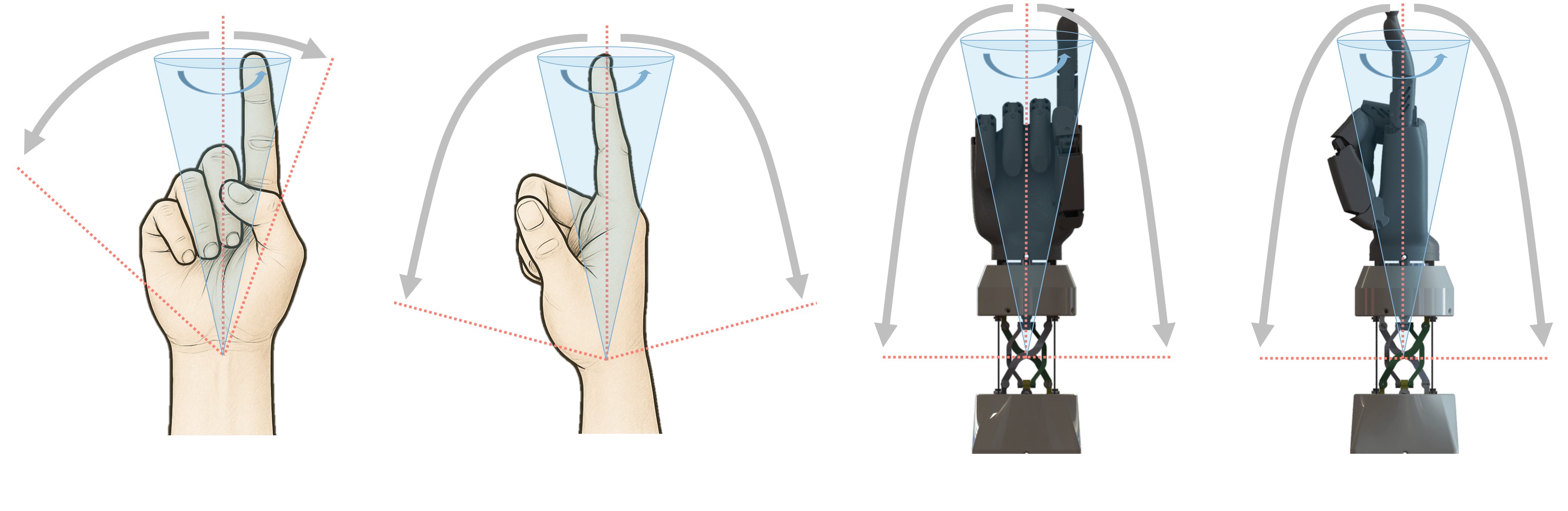 Wrist comparison